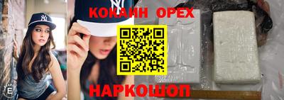 a pvp Кингисепп