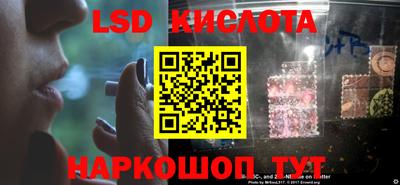 a pvp Кингисепп