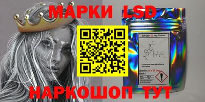 стафф Кимры