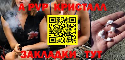 a pvp Кингисепп