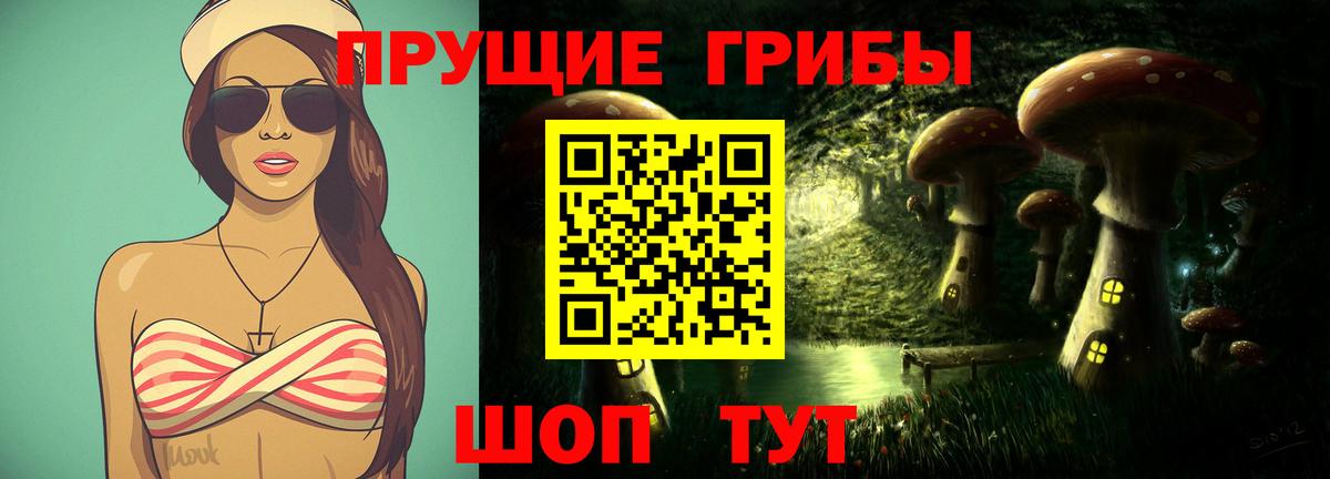 Галлюциногенные грибы Cubensis Вышний Волочёк