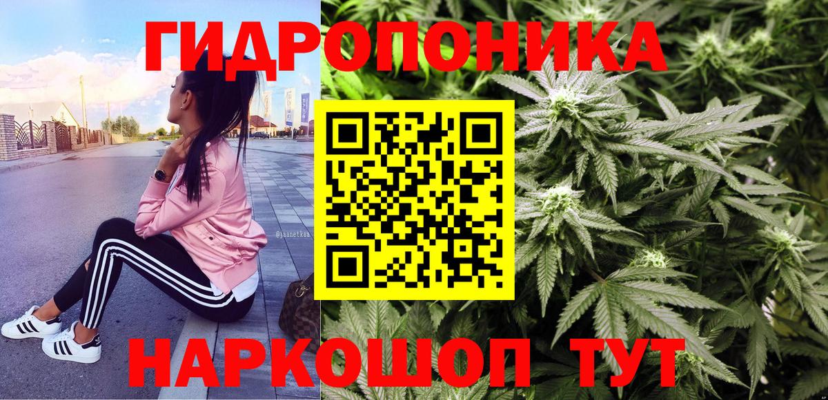 Марихуана планчик  Канабис планчик  Вход с VPN  Вышний Волочёк 